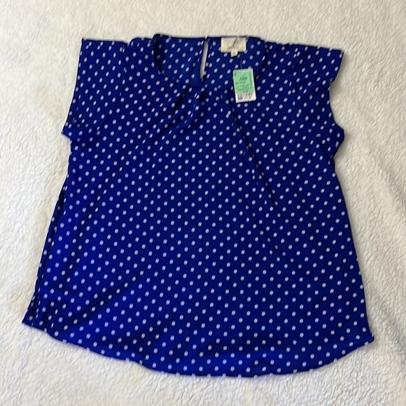 Flower & Feather Tops - Flower & Feather Women’s Plus Size 2XL Blue Polka Dot Blouse Flutter Sleeve Top